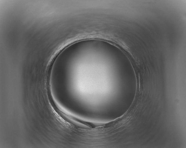 X0000052941500200507151629