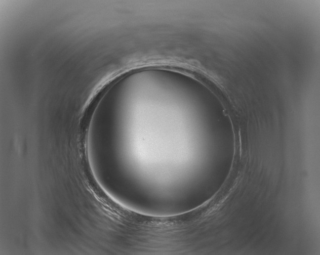 X0000052941501200507151629