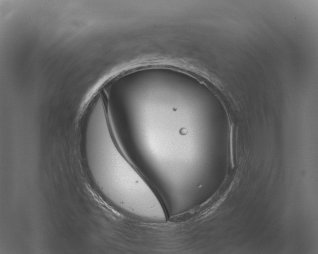 X0000052941502200507151629