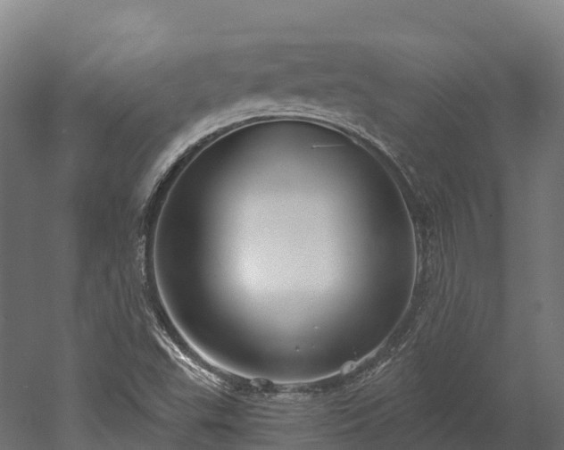 X0000052941503200507151629