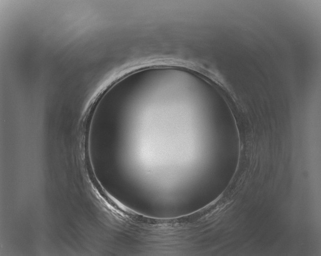 X0000052941504200507151629