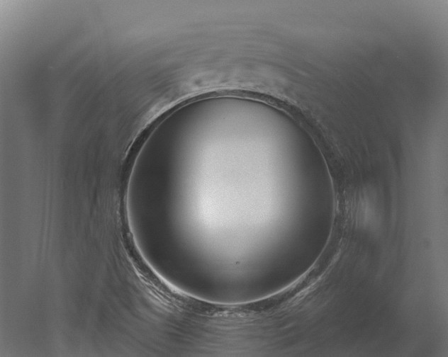 X0000052941505200507151629