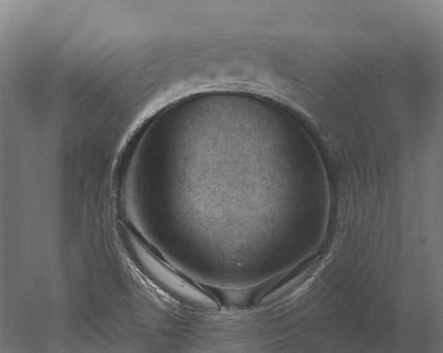 X0000052941506200507151629