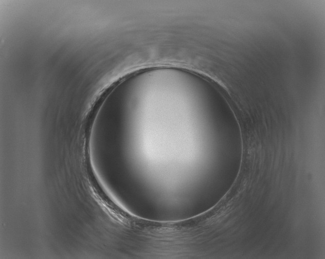 X0000052941507200507151629