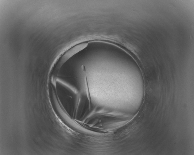 X0000052941508200507151629