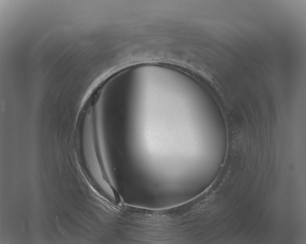 X0000052941509200507151629