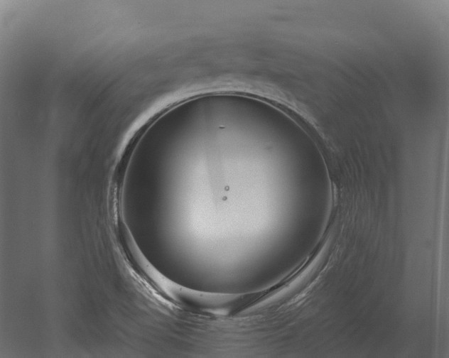 X0000052941510200507151629