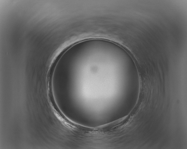 X0000052941511200507151629