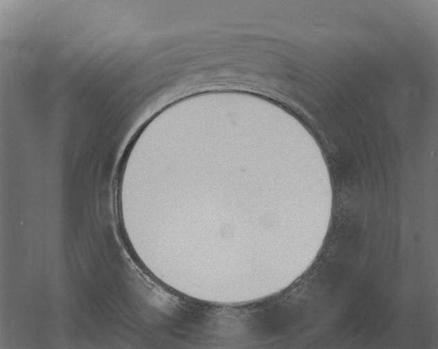 X0000052941514200507151629