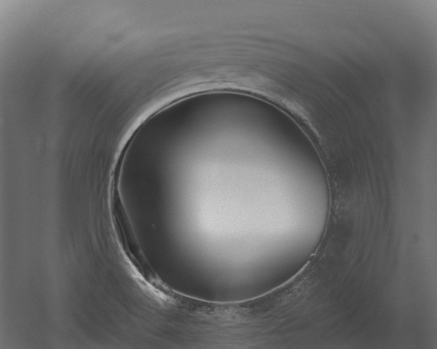 X0000052941516200507151629