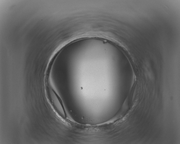 X0000052941517200507151629