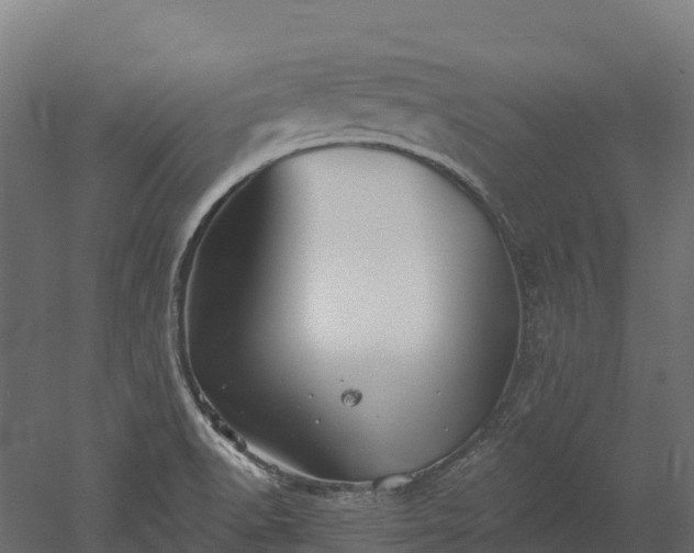 X0000052941518200507151629