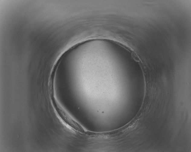 X0000052941519200507151629