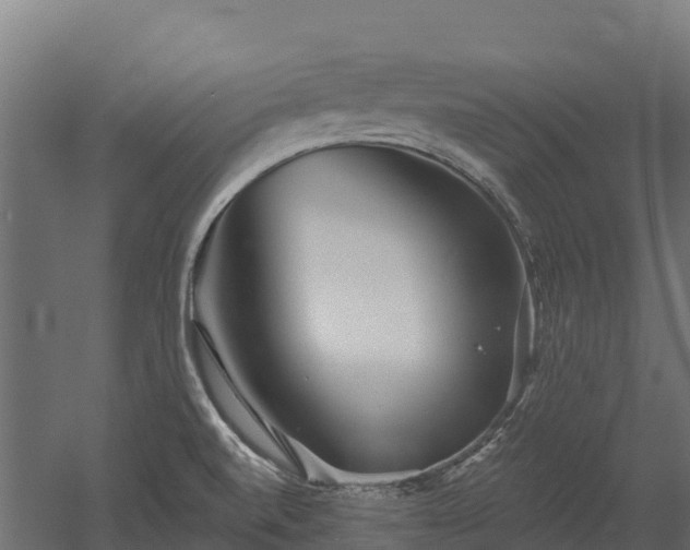 X0000052941520200507151629