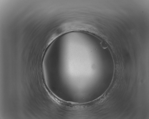 X0000052941521200507151629