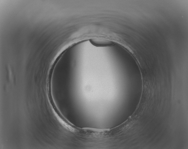 X0000052941523200507151630