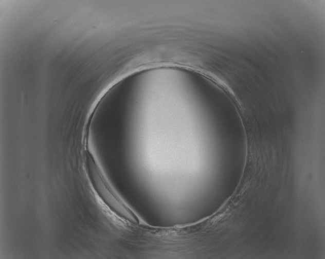 X0000052941524200507151630