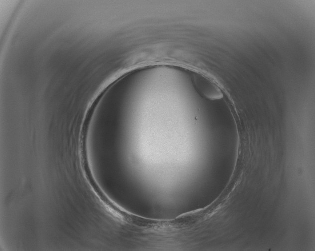 X0000052941525200507151630