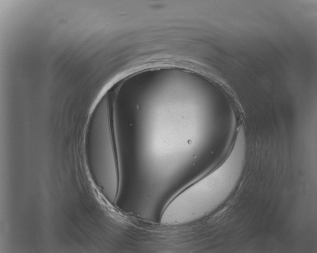 X0000052941530200507151630