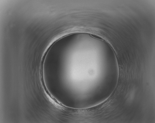 X0000052941531200507151630