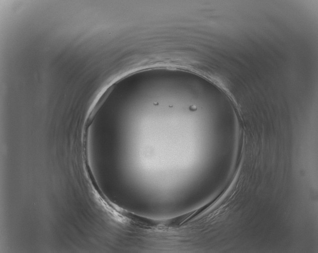 X0000052941532200507151630