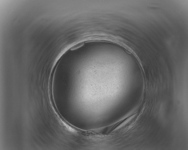 X0000052941533200507151630