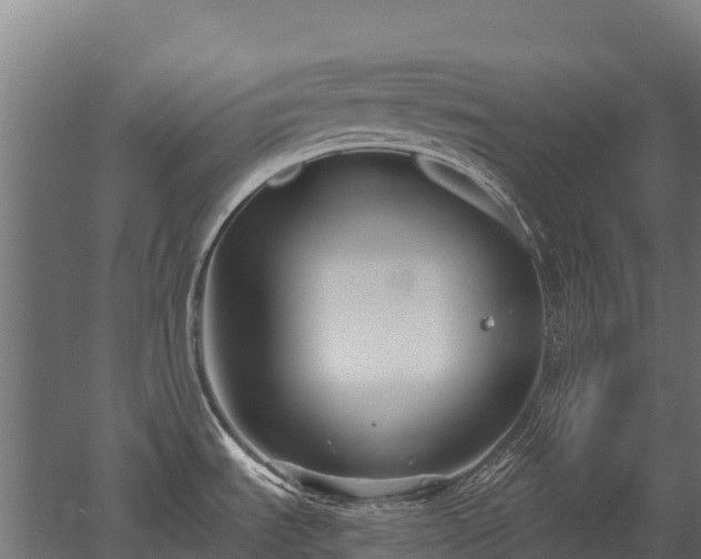 X0000052941535200507151630