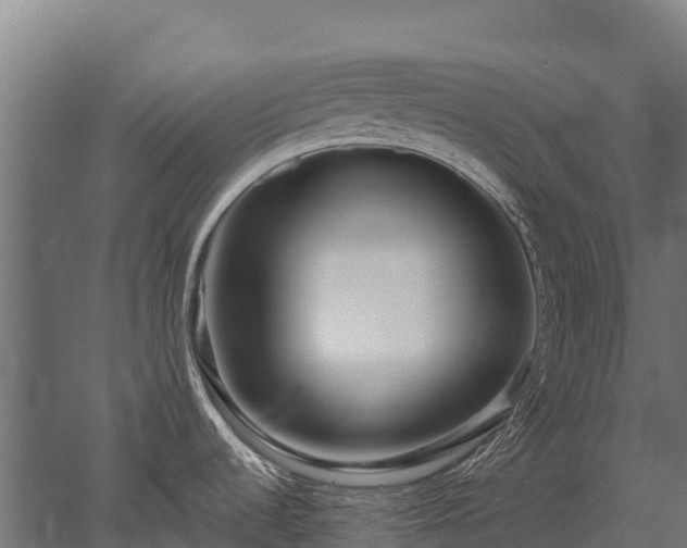 X0000052941536200507151630