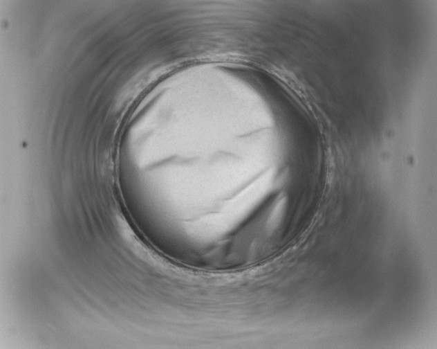 X0000052940002200507221158