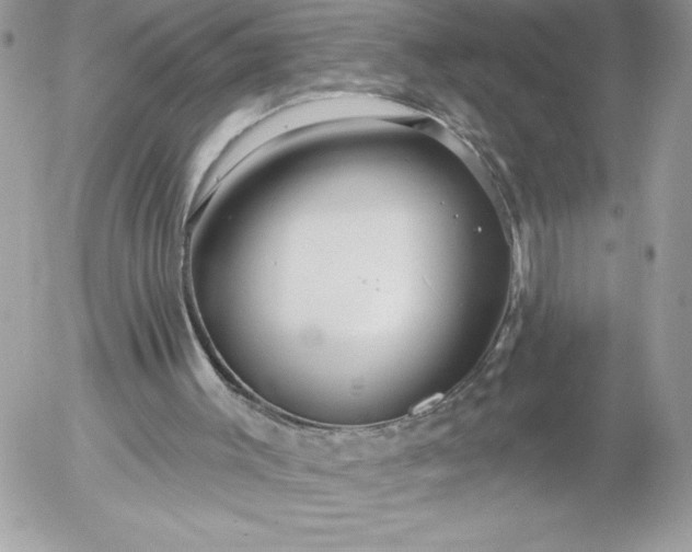 X0000052940003200507221158