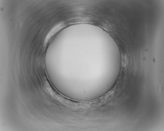 X0000052940004200507221158