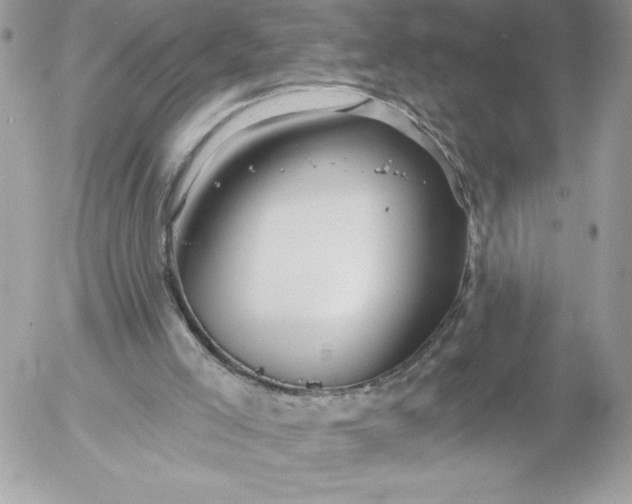 X0000052940005200507221158