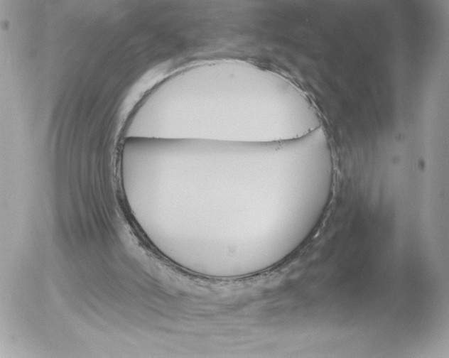 X0000052940006200507221158