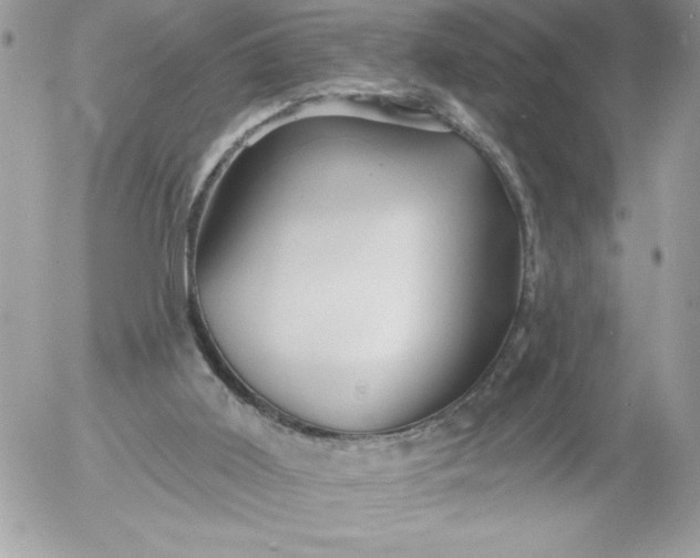 X0000052940011200507221158