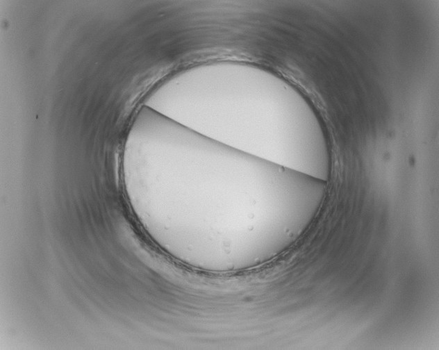 X0000052940014200507221158