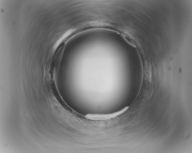 X0000052940015200507221158