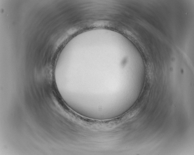 X0000052940016200507221158