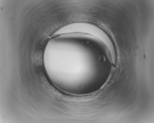 X0000052940017200507221158