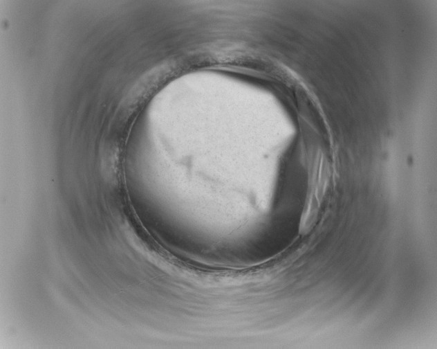 X0000052940018200507221158