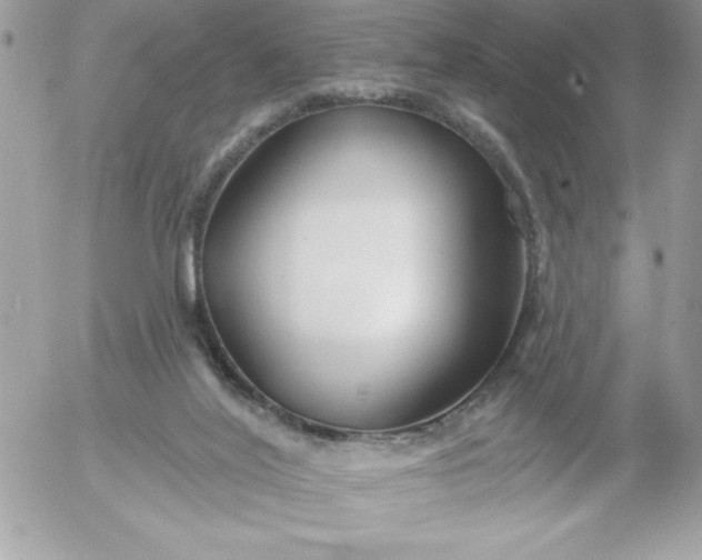 X0000052940020200507221158