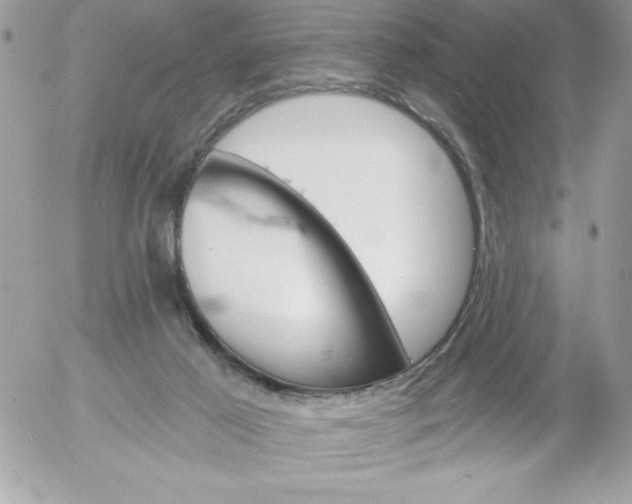 X0000052940021200507221158