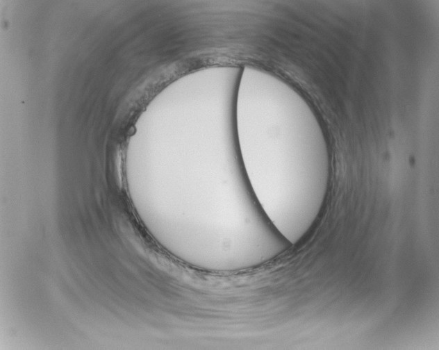 X0000052940022200507221158