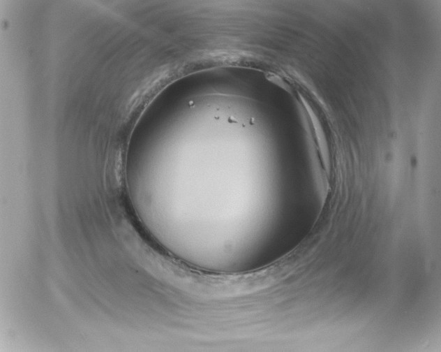 X0000052940023200507221158