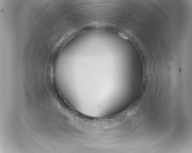 X0000052940024200507221158