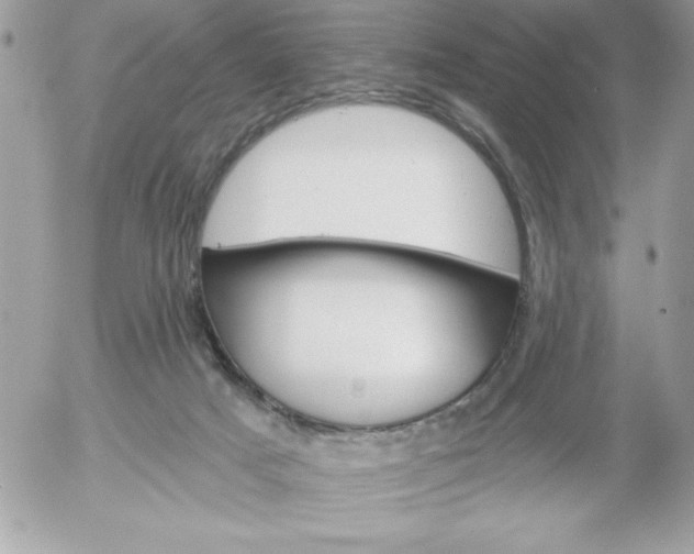 X0000052940025200507221158