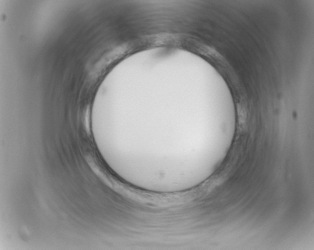 X0000052940028200507221158