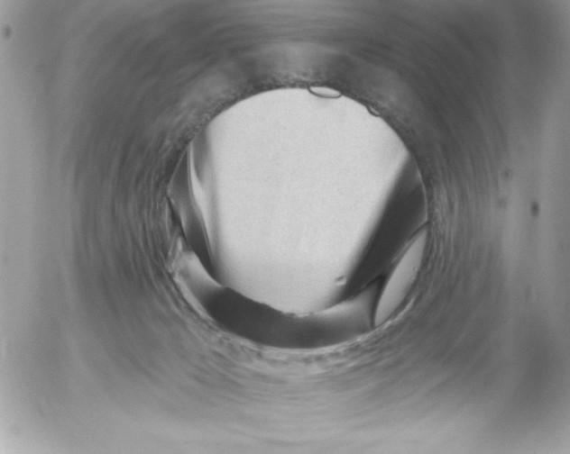 X0000052940029200507221158