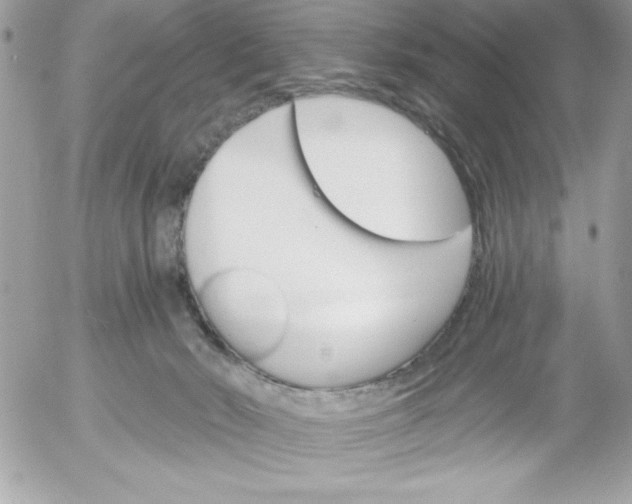 X0000052940030200507221158