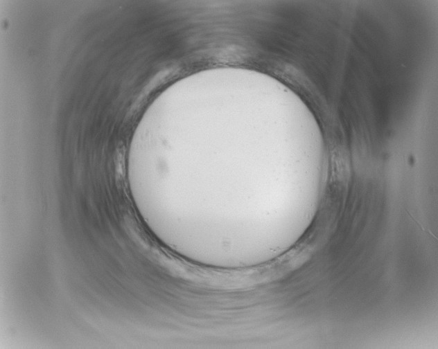 X0000052940032200507221158