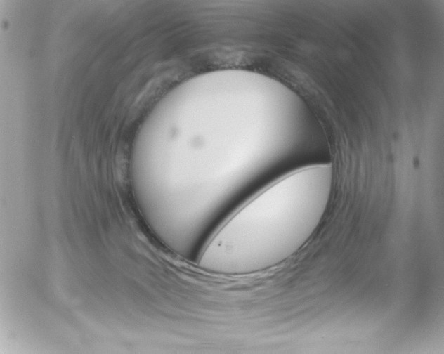 X0000052940035200507221158